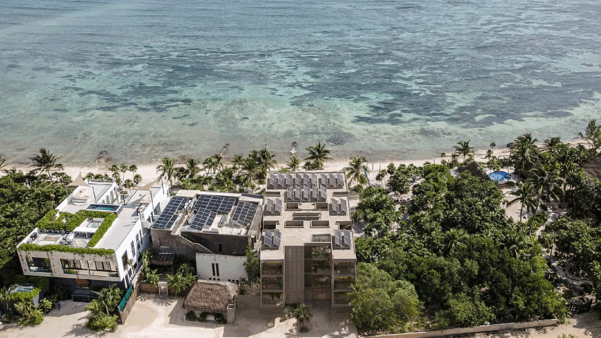 Beachfront Condos